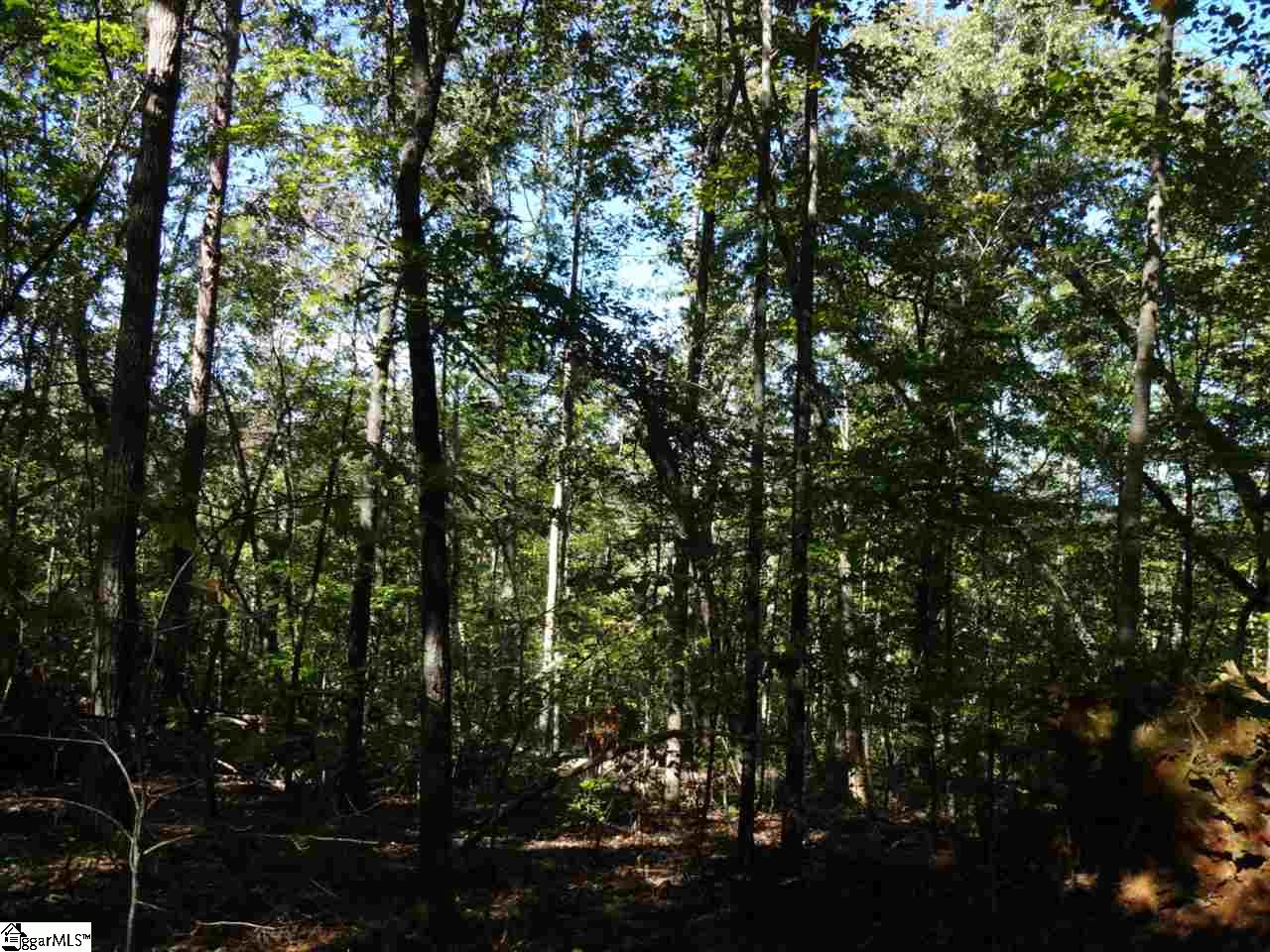 0 Corn Mill Road Pickens, SC 29671 - Photo 8 of 21