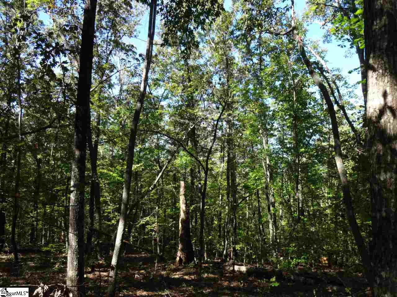 0 Corn Mill Road Pickens, SC 29671 - Photo 9 of 21