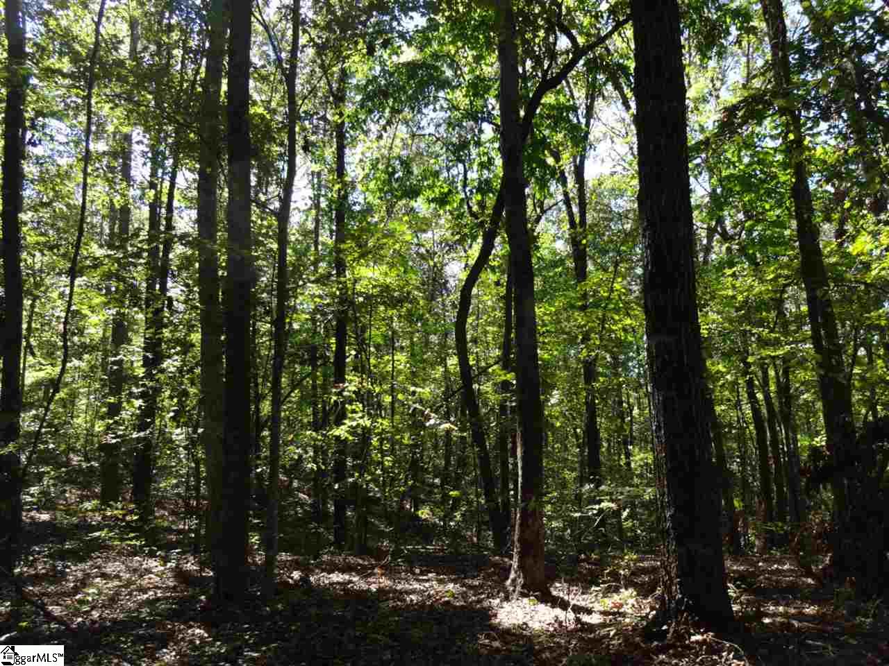0 Corn Mill Road Pickens, SC 29671 - Photo 10 of 21