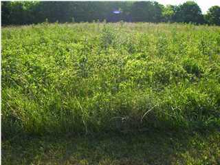 18 Drake Ridge Road Taylorsville, KY 40071 - Photo 1 of 1 Primary Photo