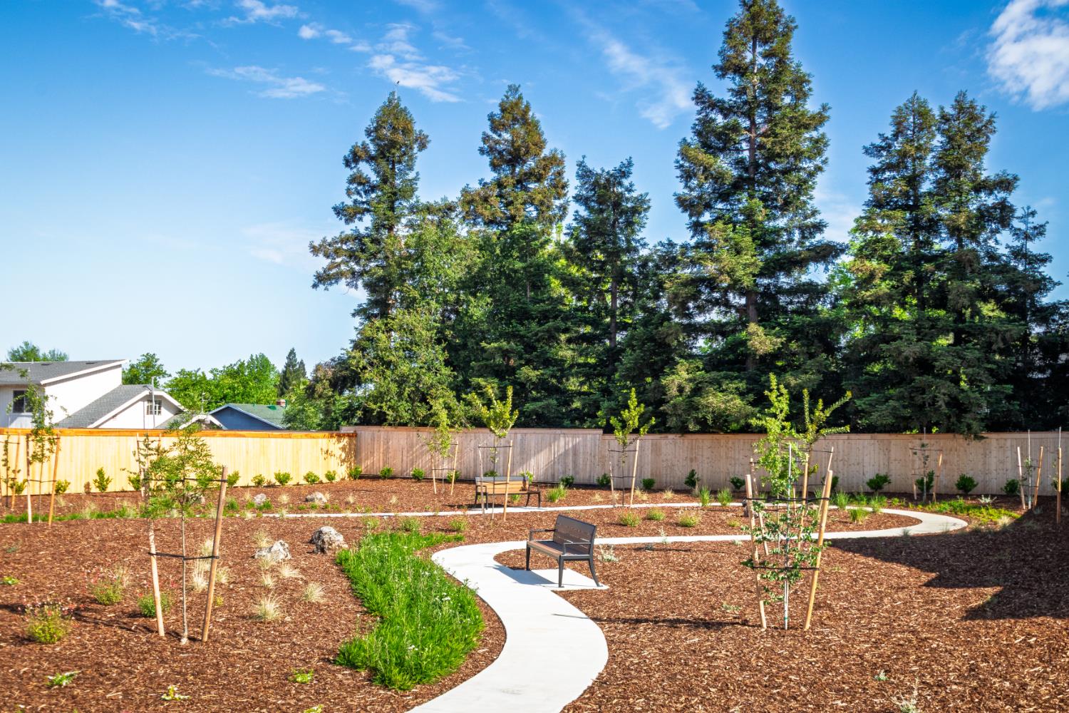 4027 Porton Lane Carmichael, CA 95608 - Photo 3 of 8 a view of a backyard