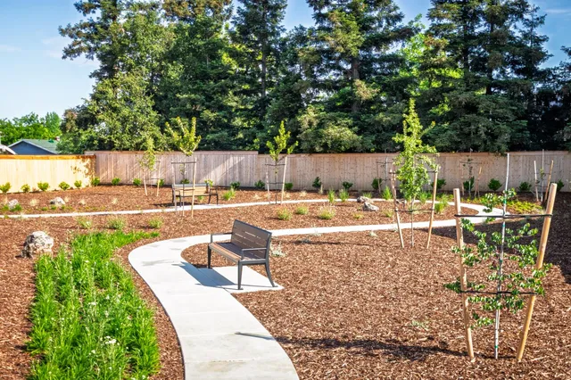 a view of a swimming pool with a yard