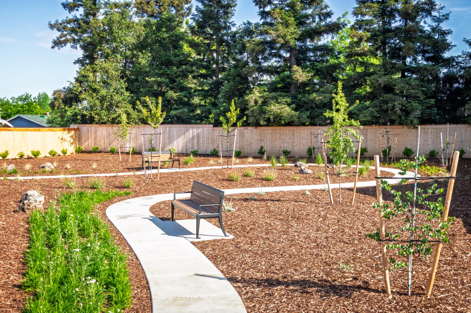 4027 Porton Lane Carmichael, CA 95608 - Photo 4 of 8 a view of a swimming pool with a patio and a garden