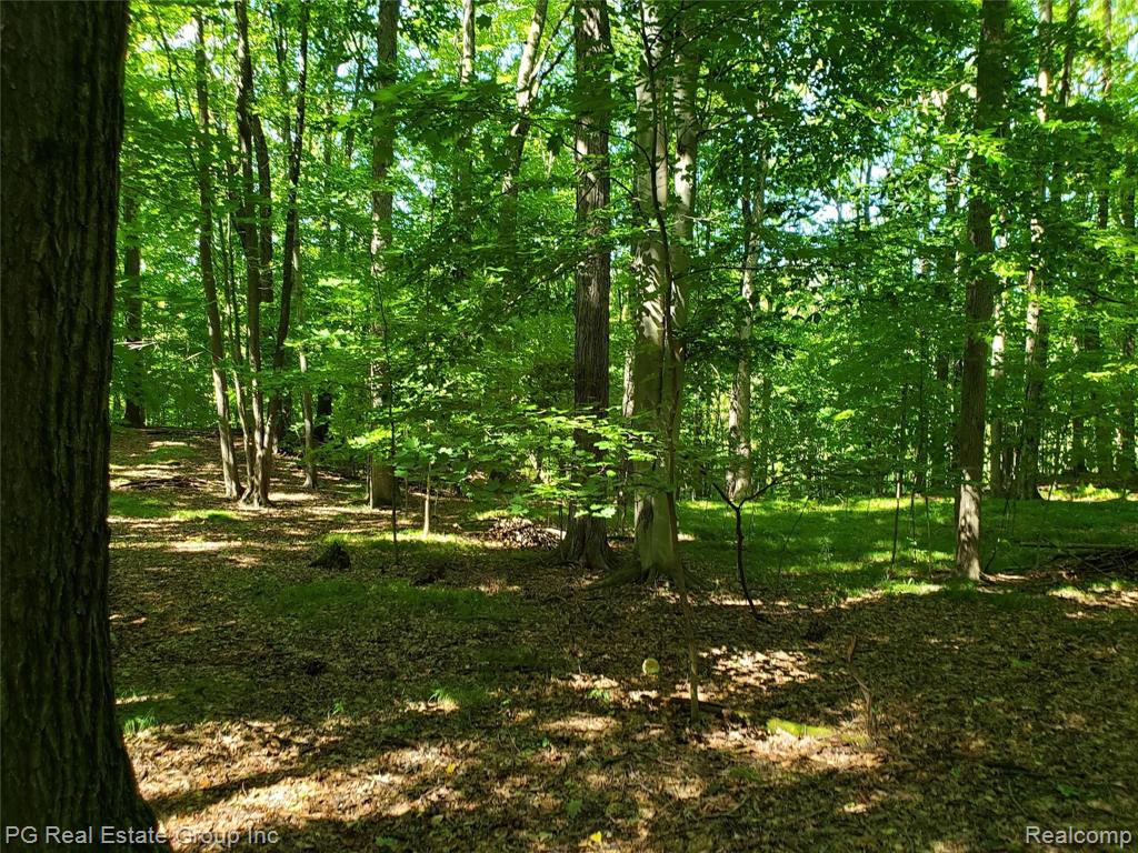 0 Charitoo Ridge Leonard, MI 48367 - Photo 24 of 34