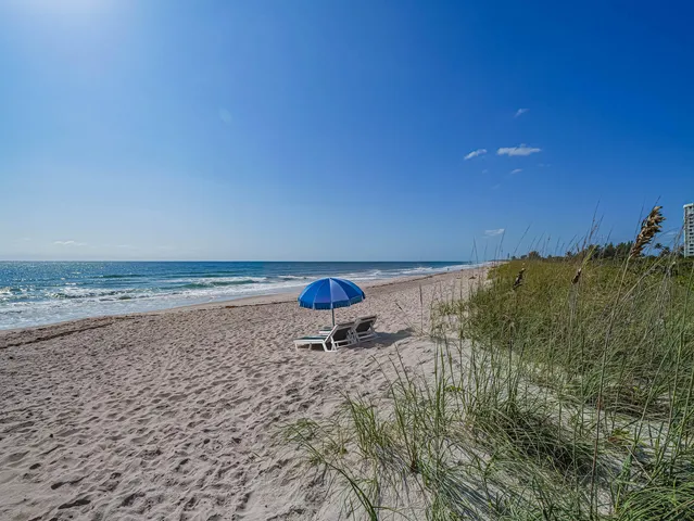 a kitchen with stainless steel appliances granite countertop a refrigerator a sink a stove and white cabinets with wooden floor