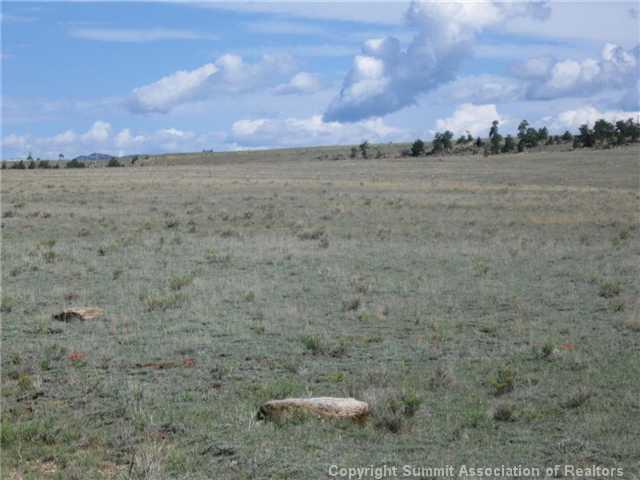 3800 Mesa Road Hartsel, CO 80449 - Photo 3 of 4 Gallery Image 3