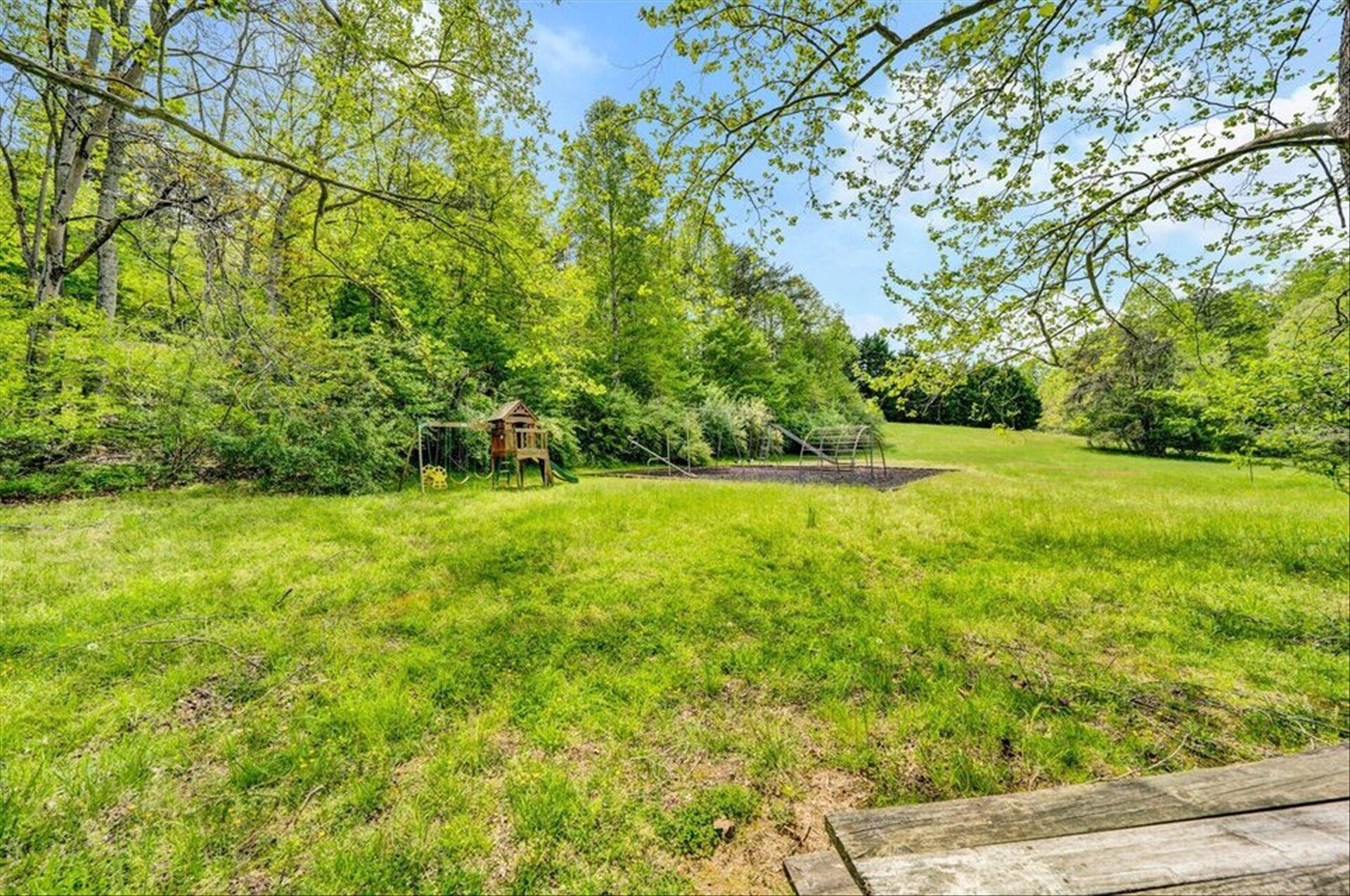108 Old Post Road Moneta, VA 24121 - Photo 46 of 50 47-10-Community Park
