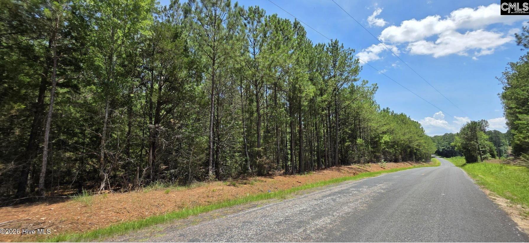 105-acres Chestnut Ridge Road McCormick, SC 29835 - Photo 4 of 4 Gallery Image 4