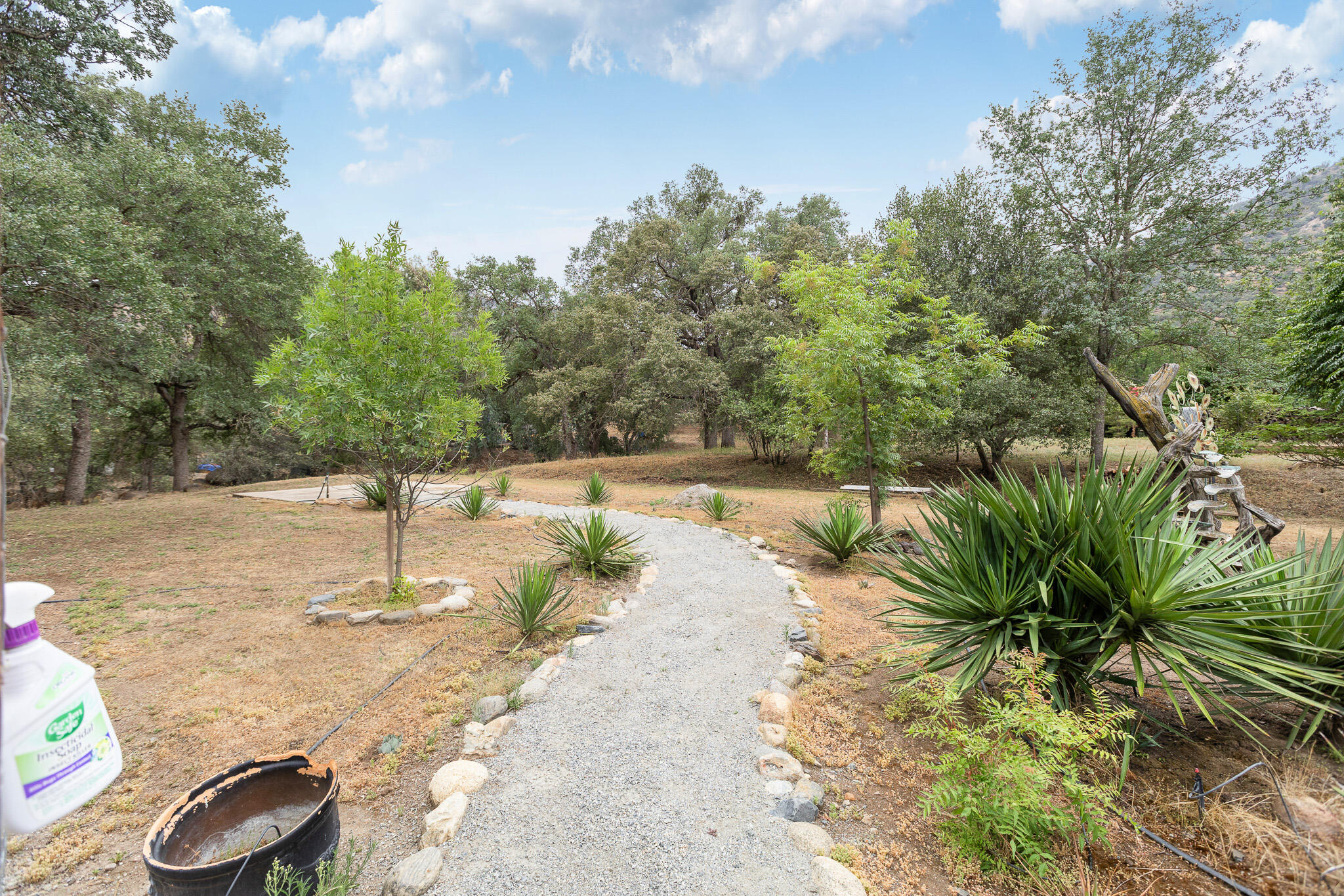 40826 Grouse Drive Three Rivers, CA 93271 - Photo 59 of 75 55 Backyard