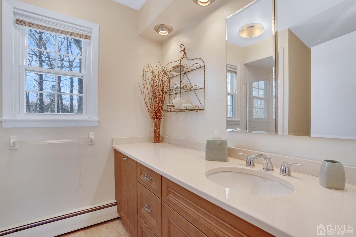 19 Warwick Road Edison, NJ 08820 - Photo 25 of 43 a bathroom with a sink and a mirror