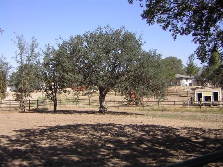 22651 Tree Court Tehachapi, CA 93561 - Photo 36 of 55 Gallery Image 36