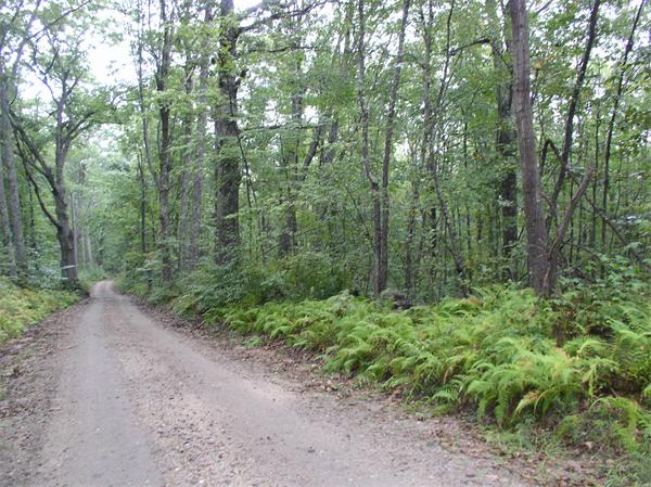 Lot 10 Sheldon Road Barre, MA 01005 - Photo 1 of 8 Gallery Image 1