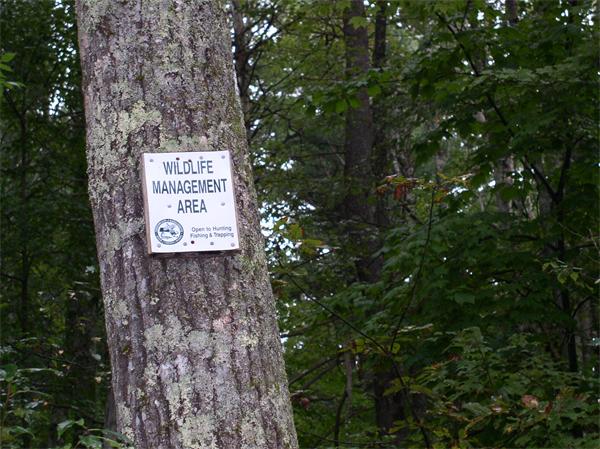 Lot 10 Sheldon Road Barre, MA 01005 - Photo 2 of 8 Gallery Image 2