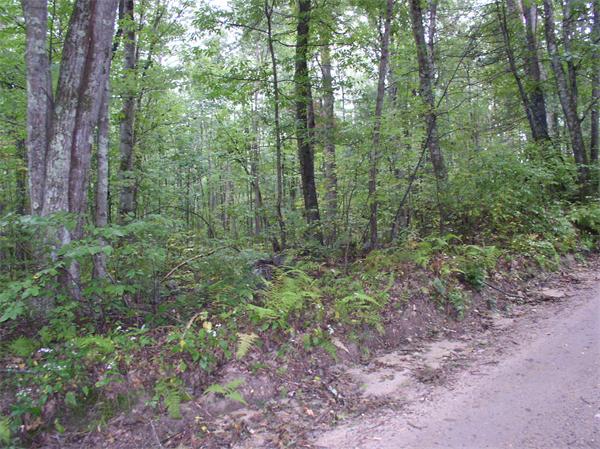 Lot 10 Sheldon Road Barre, MA 01005 - Photo 4 of 8 Gallery Image 4