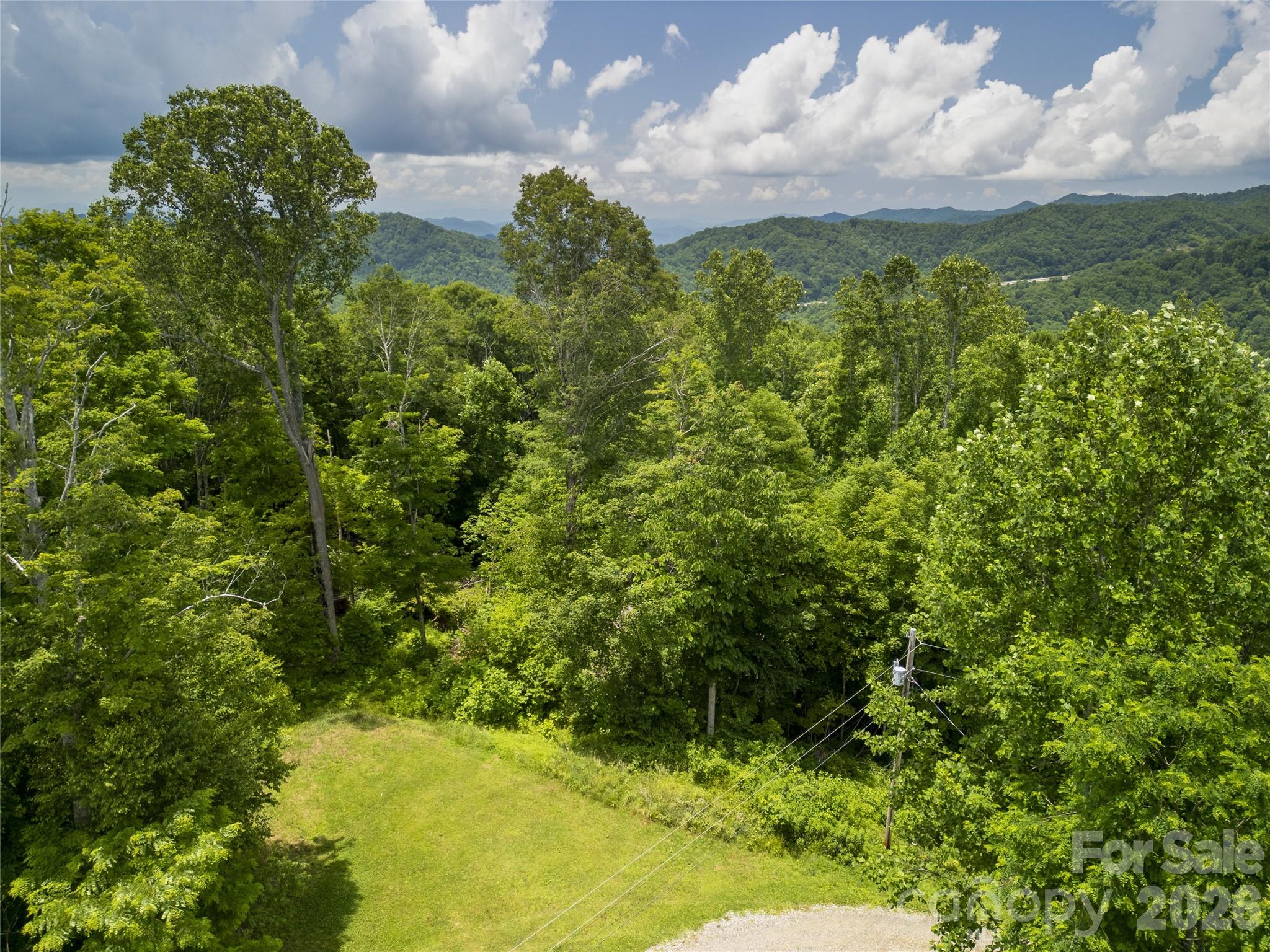 168 Smith Creek Road Mars Hill, NC 28754 - Photo 23 of 46