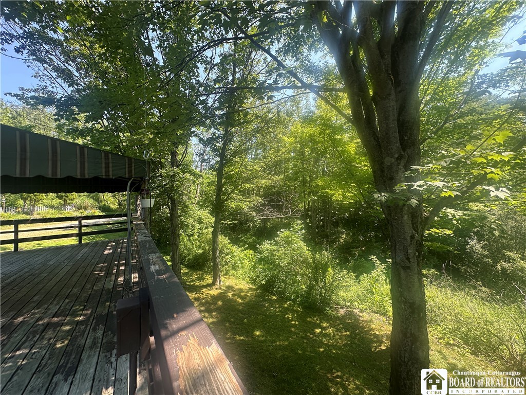 13170 Transit Line Road Concord, NY 14141 - Photo 31 of 33