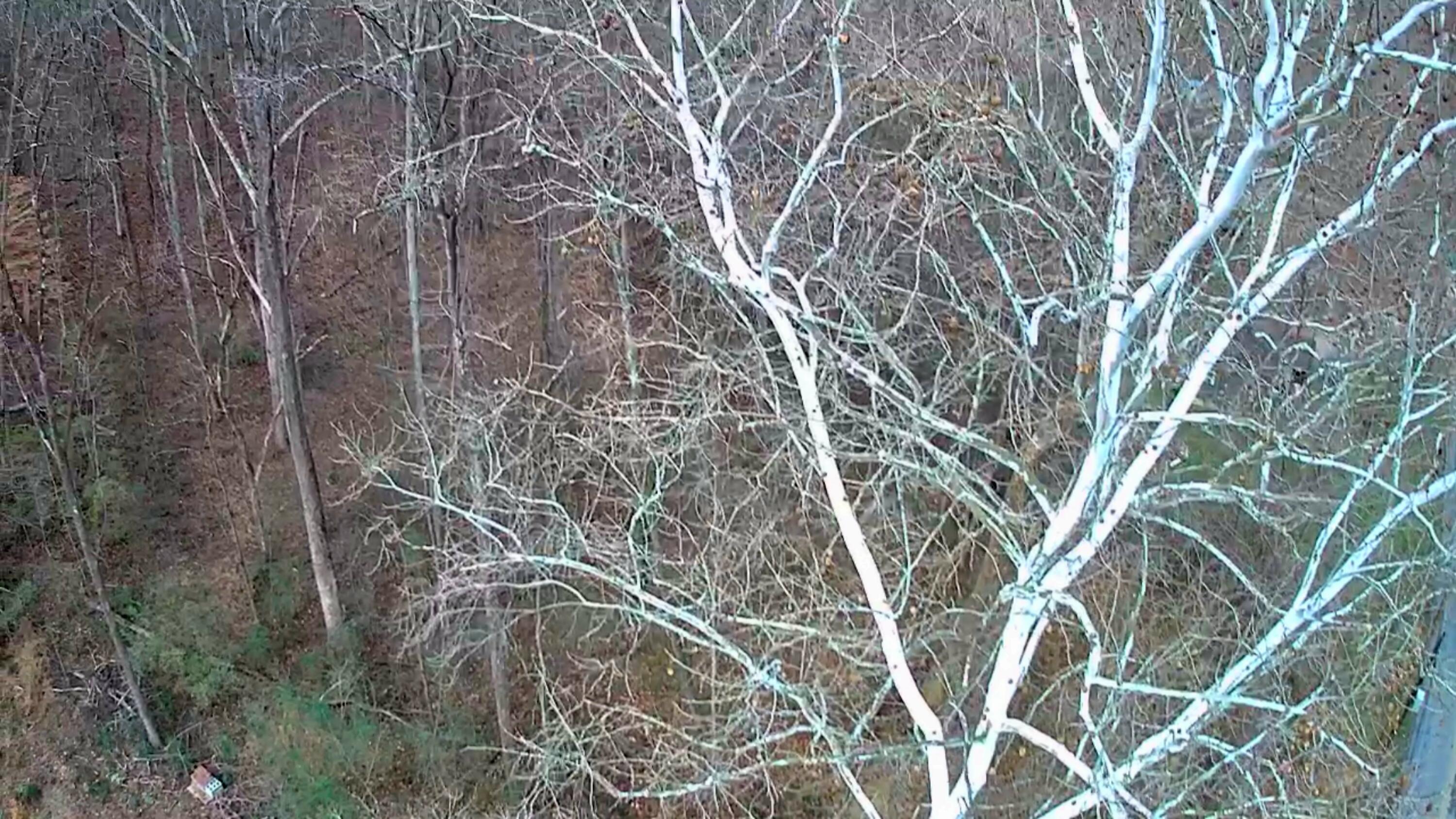 8821 Gann Road, Unit 1 Soddy Daisy, TN 37379 - Photo 15 of 18 IMG_20260122_1421059