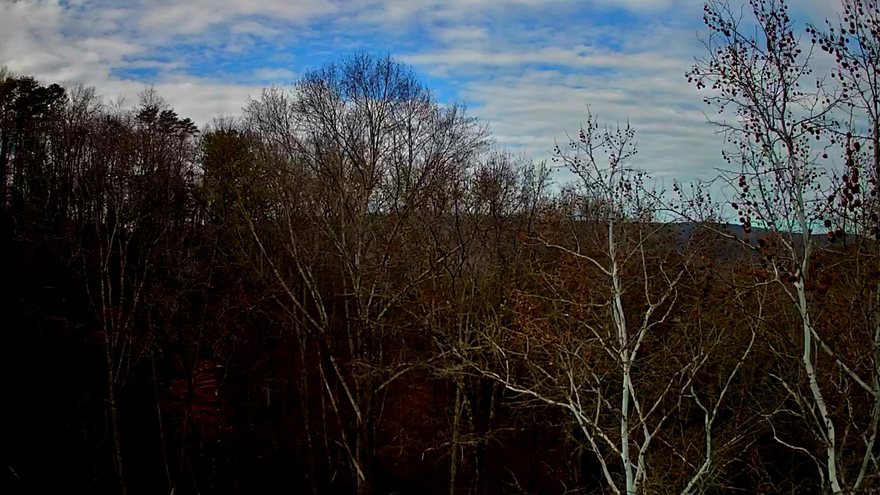 8821 Gann Road, Unit 1 Soddy Daisy, TN 37379 - Photo 16 of 18 IMG_20260122_1422027