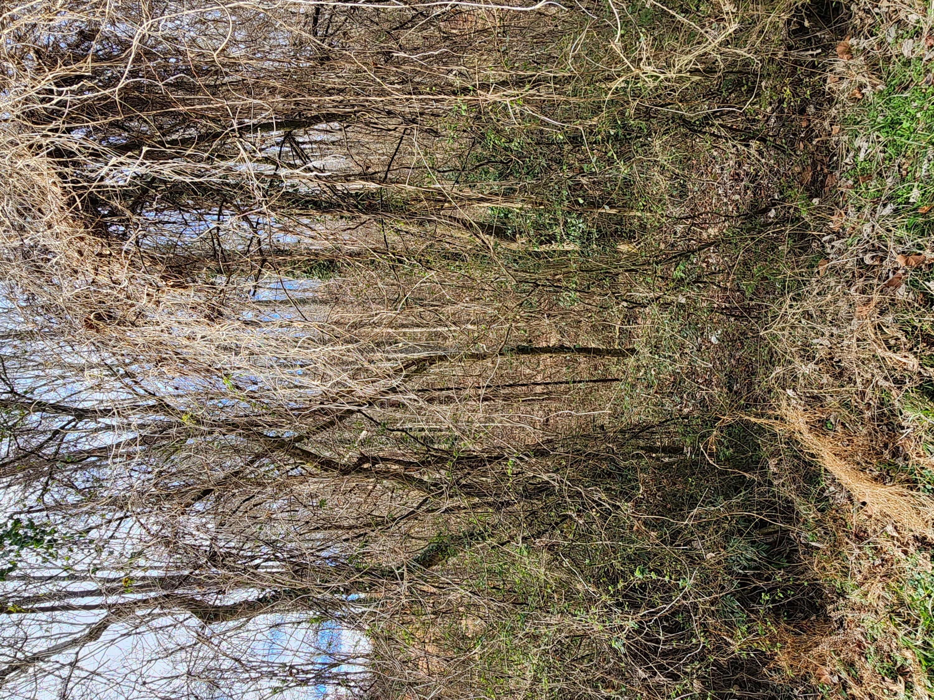 8821 Gann Road, Unit 1 Soddy Daisy, TN 37379 - Photo 18 of 18 20260122_142632