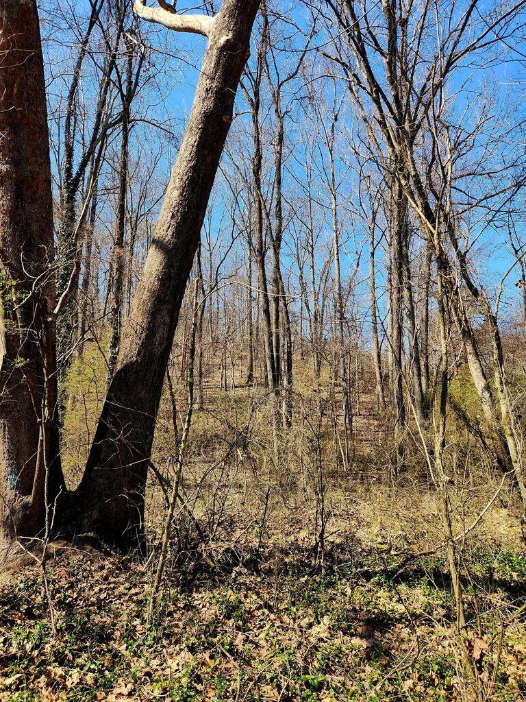 8821 Gann Road, Unit 1 Soddy Daisy, TN 37379 - Photo 6 of 18 8821 1