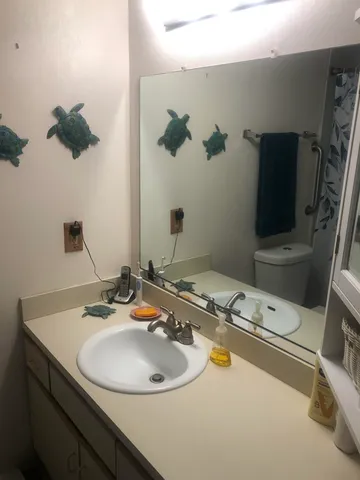 a bathroom with a shower and toilet