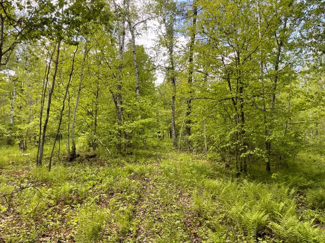 $889,777 | 6281 24th Avenue Northwest, Walker, MN 56484