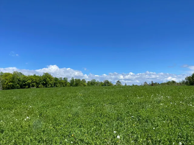 $889,777 | 6281 24th Avenue Northwest, Walker, MN 56484