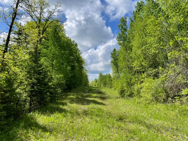 $889,777 | 6281 24th Avenue Northwest, Walker, MN 56484