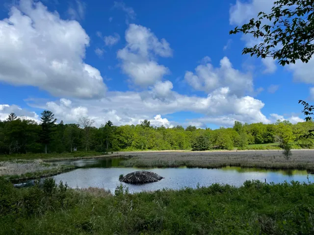 $889,777 | 6281 24th Avenue Northwest, Walker, MN 56484