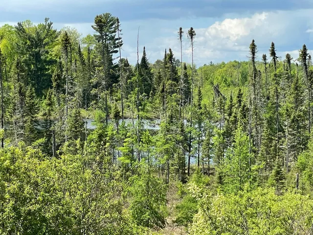 $889,777 | 6281 24th Avenue Northwest, Walker, MN 56484