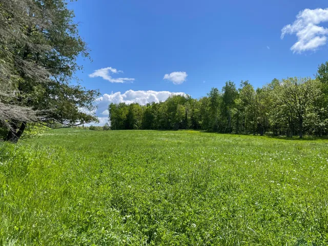 $889,777 | 6281 24th Avenue Northwest, Walker, MN 56484