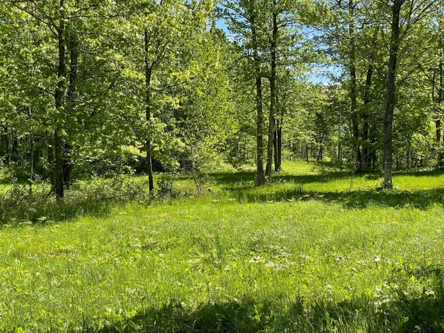 $889,777 | 6281 24th Avenue Northwest, Walker, MN 56484