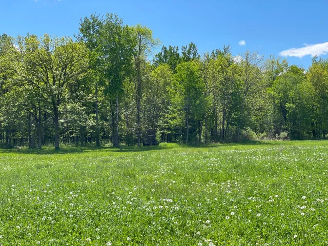 $889,777 | 6281 24th Avenue Northwest, Walker, MN 56484