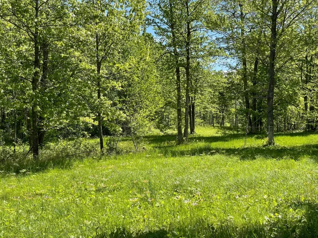 $889,777 | 6281 24th Avenue Northwest, Walker, MN 56484