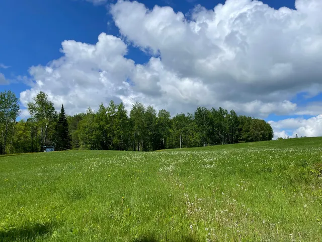 $889,777 | 6281 24th Avenue Northwest, Walker, MN 56484