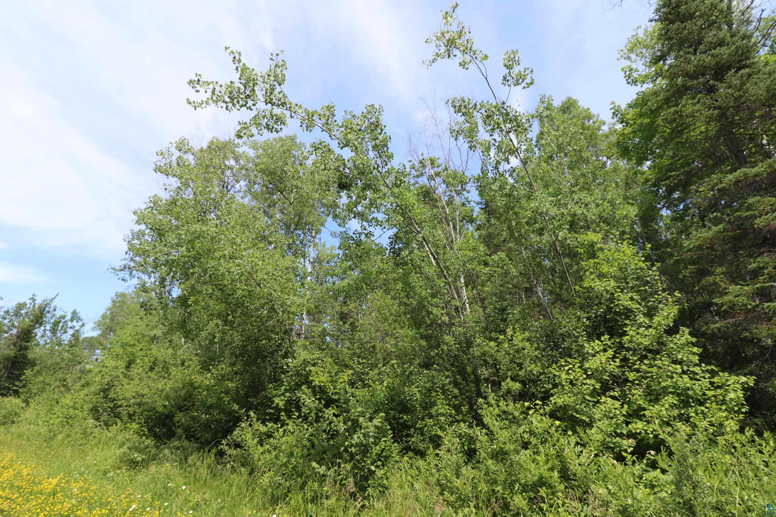 Lot 2 Campbell Road Herbster, WI 54844 - Photo 11 of 11