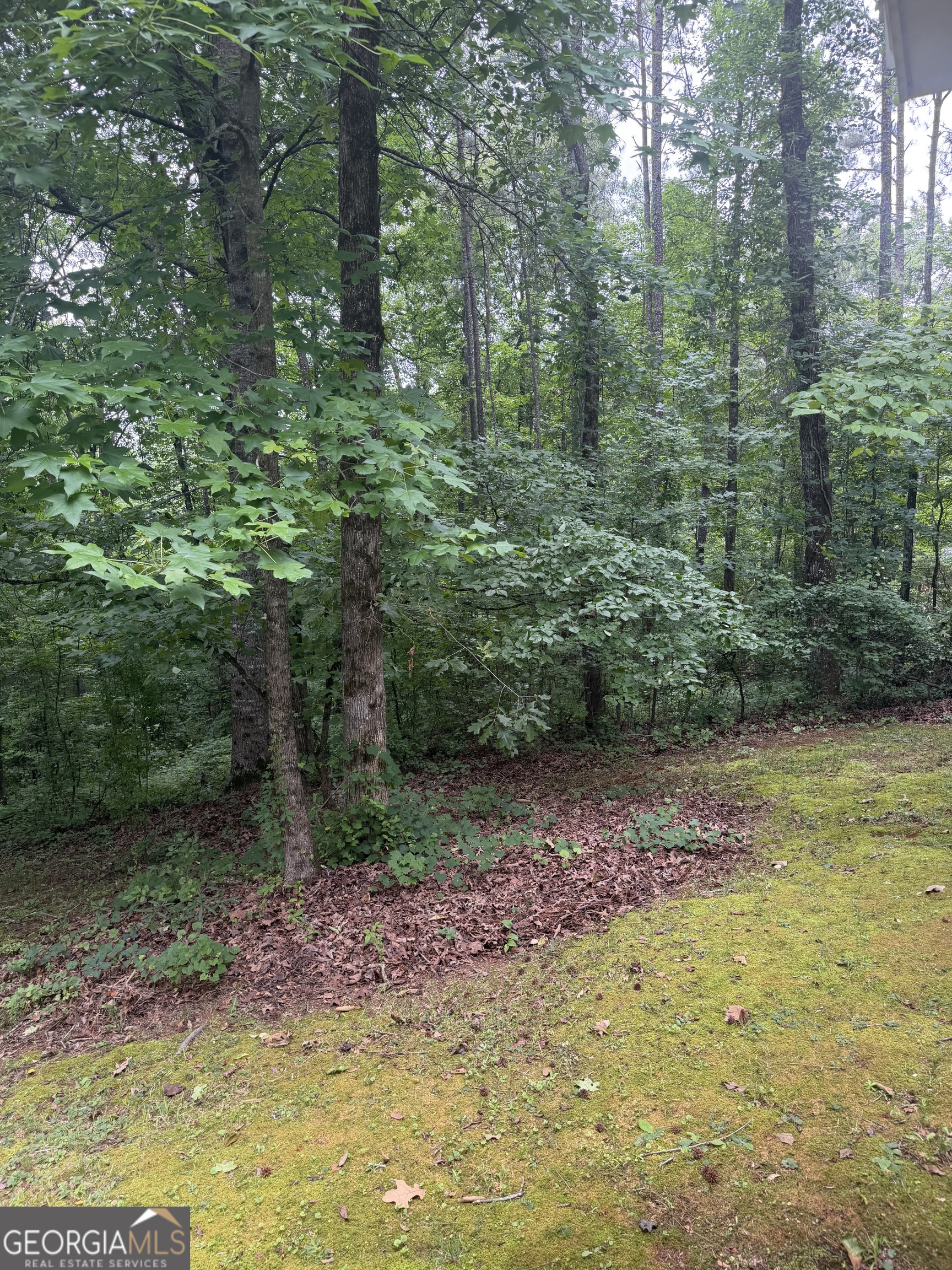 406 Covered Bridge Road Covington, GA 30016 - Photo 38 of 74