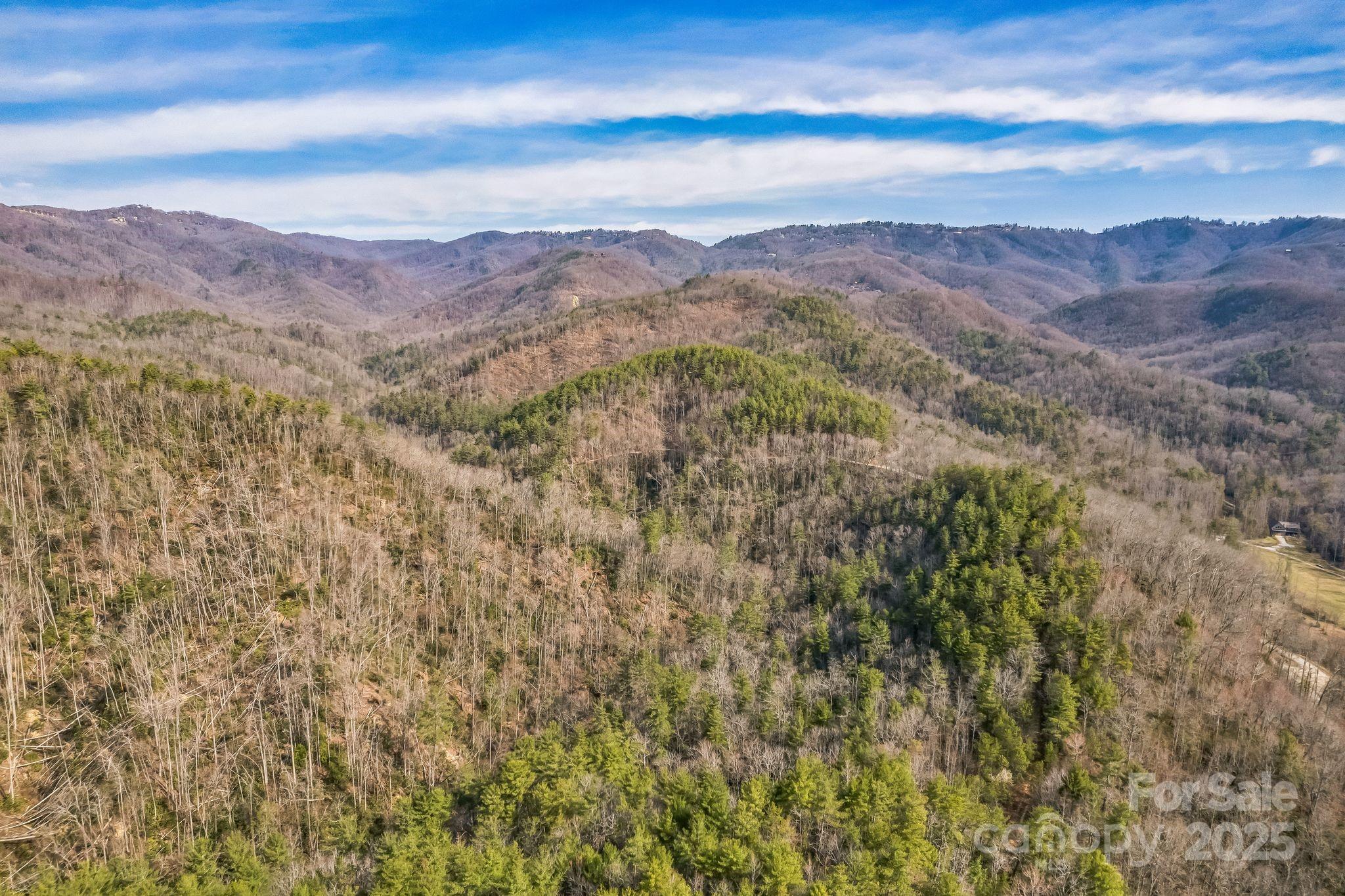 1 Globe Road Collettsville, NC 28611 - Photo 1 of 43 a view of a city with mountains in the background