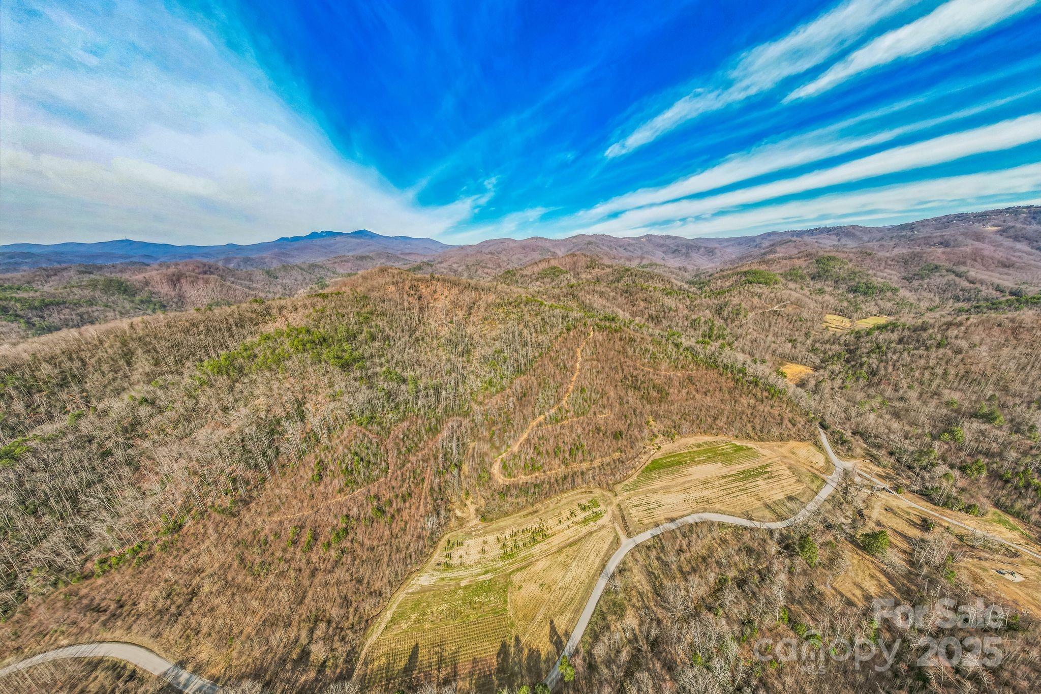 1 Globe Road Collettsville, NC 28611 - Photo 14 of 43 a view of a yard