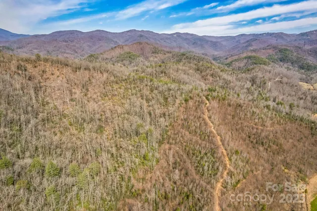 a view of a mountain range with trees