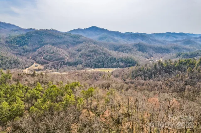 a view of a forest with mountains in the background