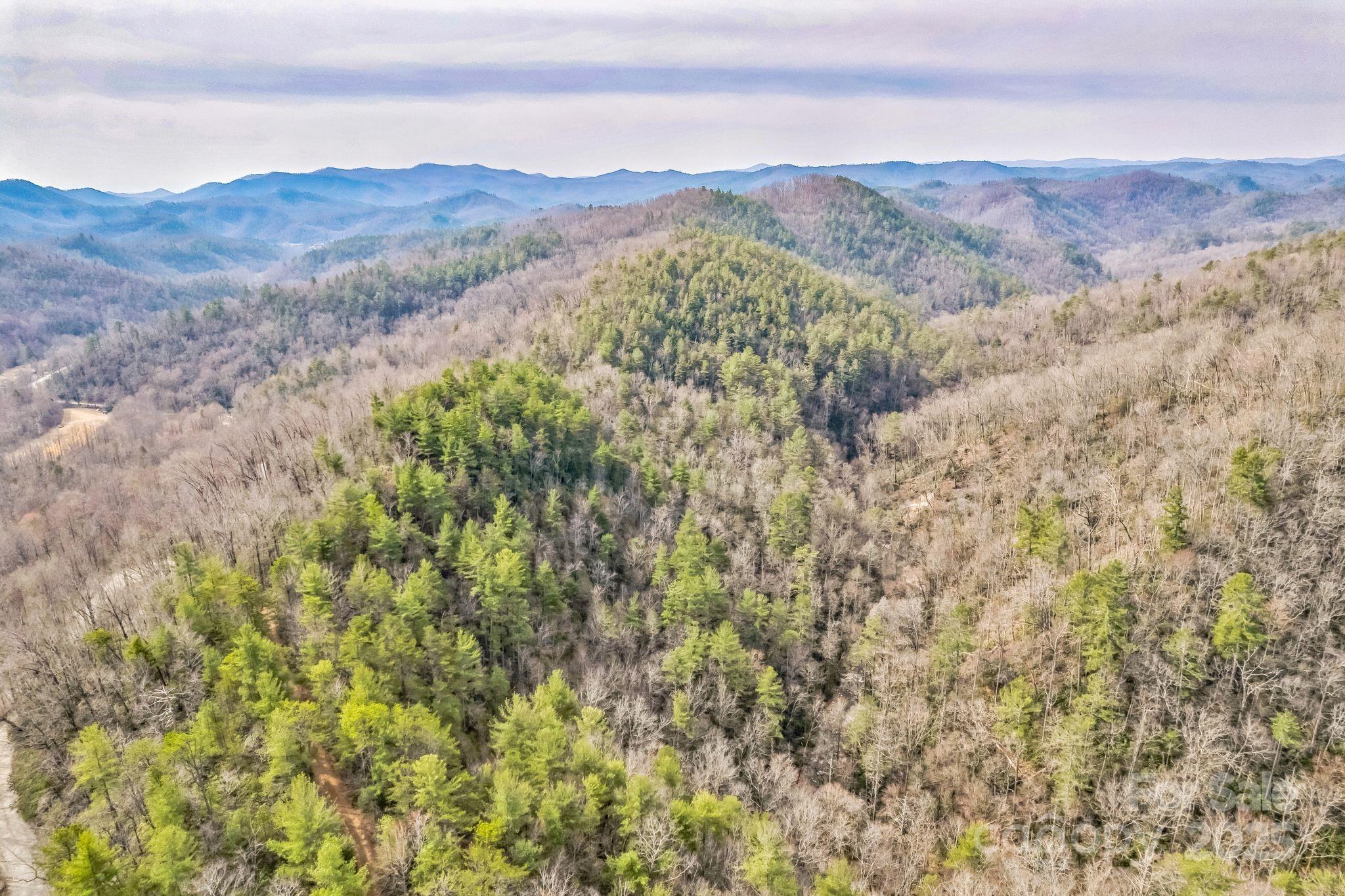 1 Globe Road Collettsville, NC 28611 - Photo 19 of 43 a view of a forest with mountains in the background