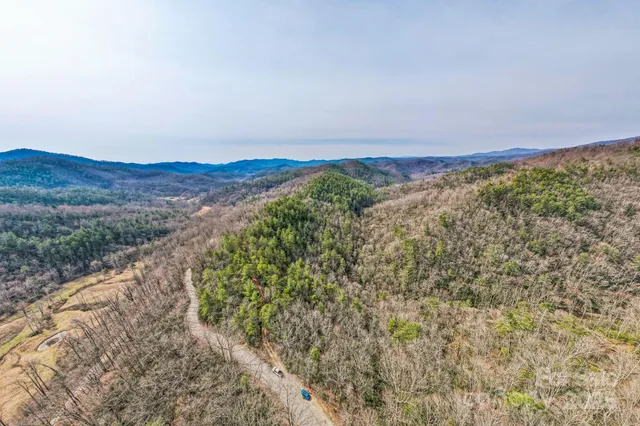 a view of a lush green field