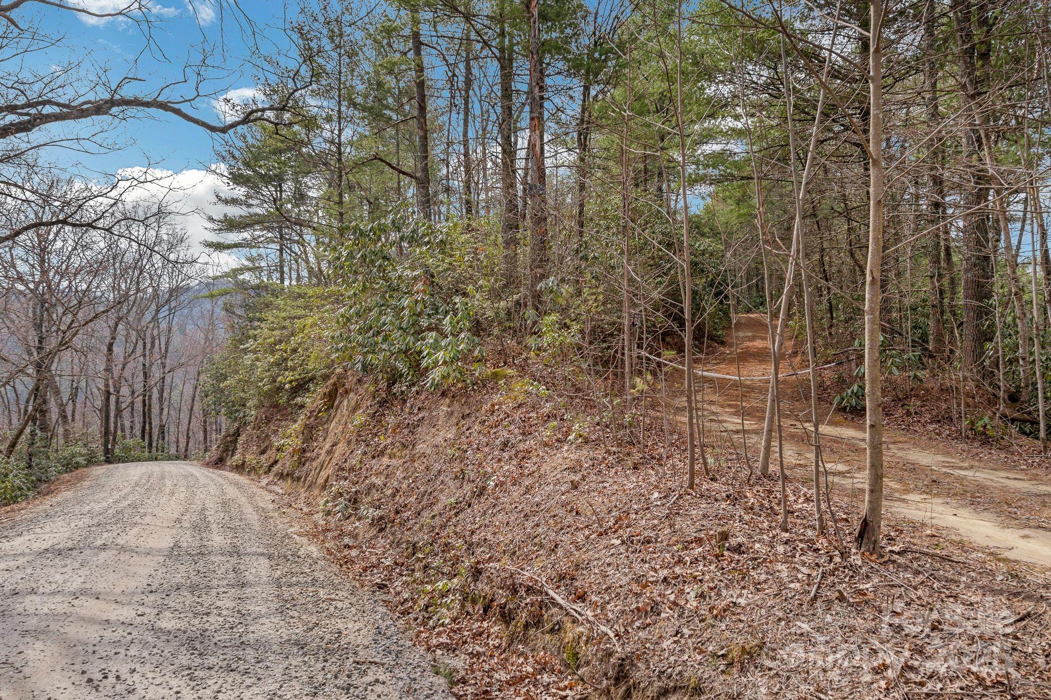 1 Globe Road Collettsville, NC 28611 - Photo 21 of 43 a backyard of a house with lots of green space