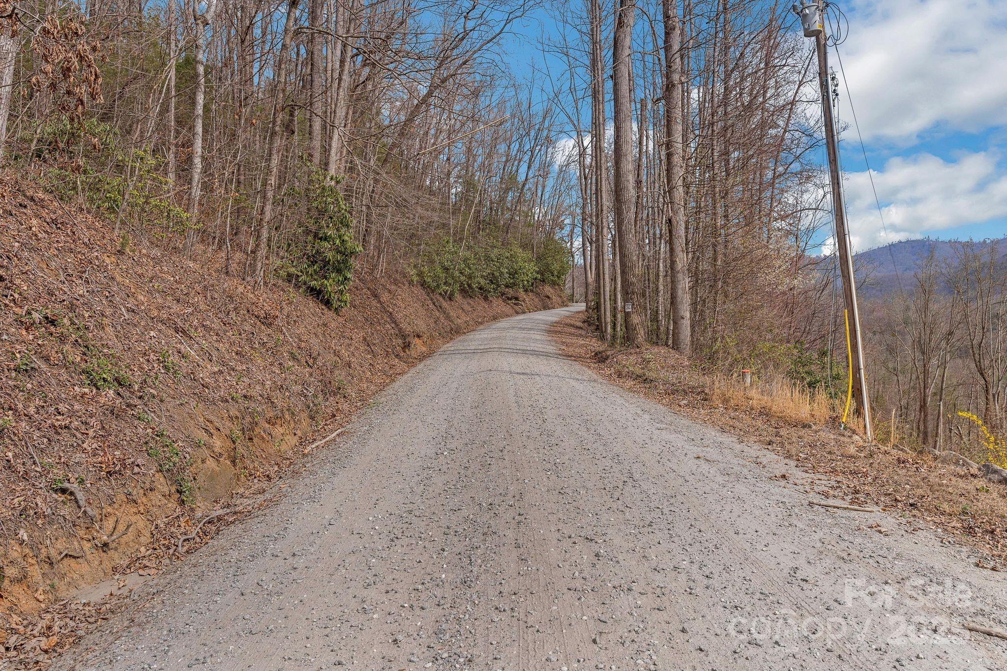 1 Globe Road Collettsville, NC 28611 - Photo 22 of 43 a view of a dry yard with trees in the background