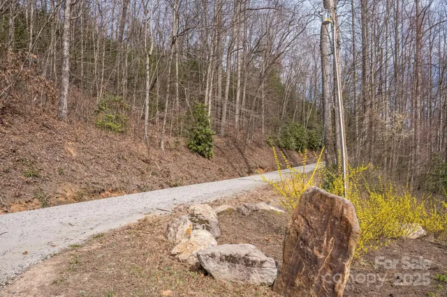 a view of small yard