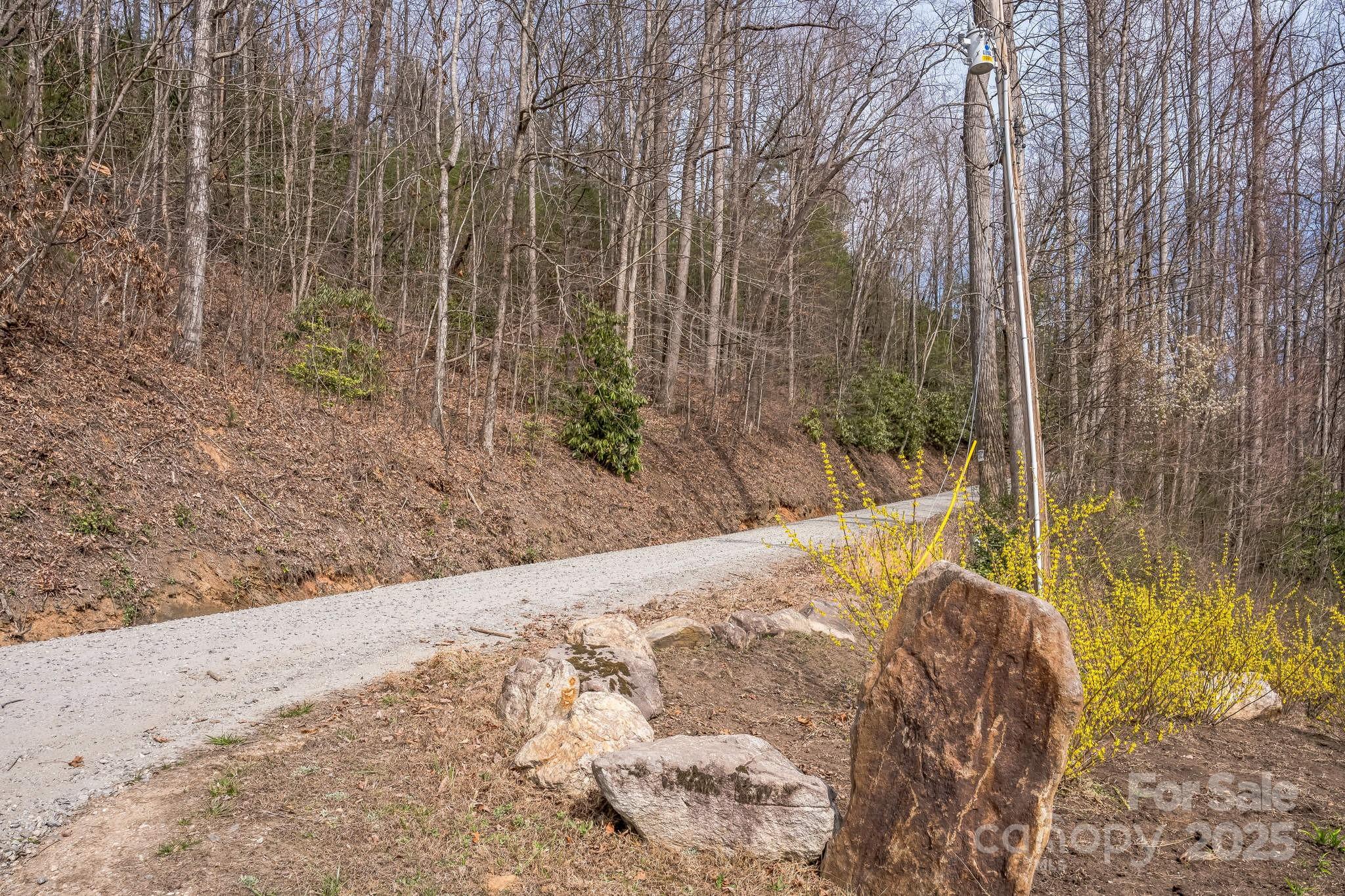1 Globe Road Collettsville, NC 28611 - Photo 24 of 43 a view of small yard