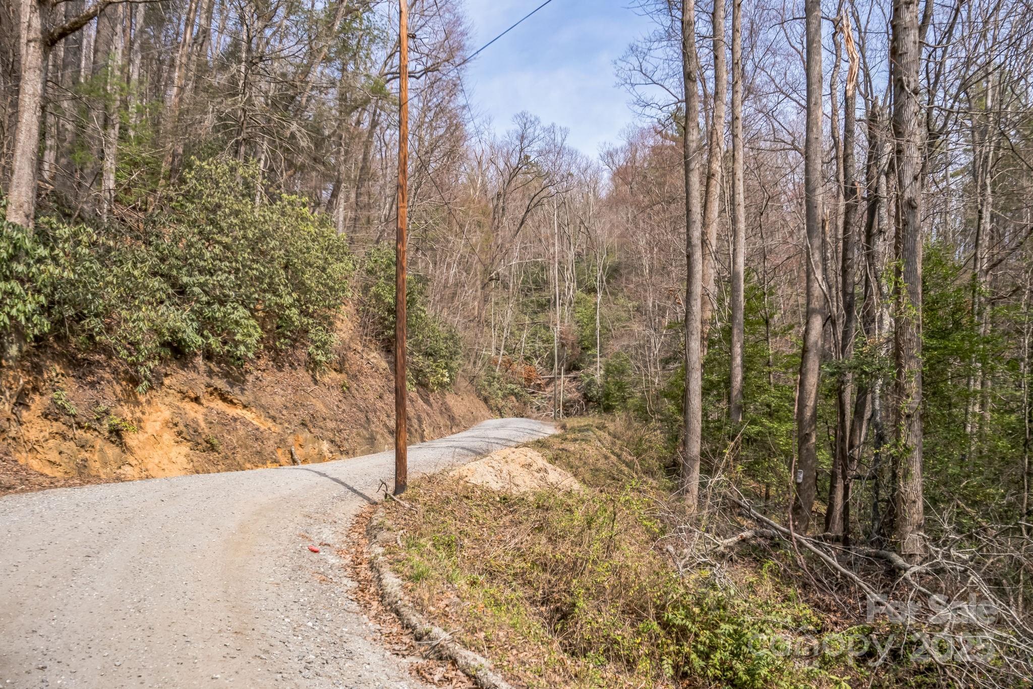 1 Globe Road Collettsville, NC 28611 - Photo 28 of 43 a view of a forest filled with trees