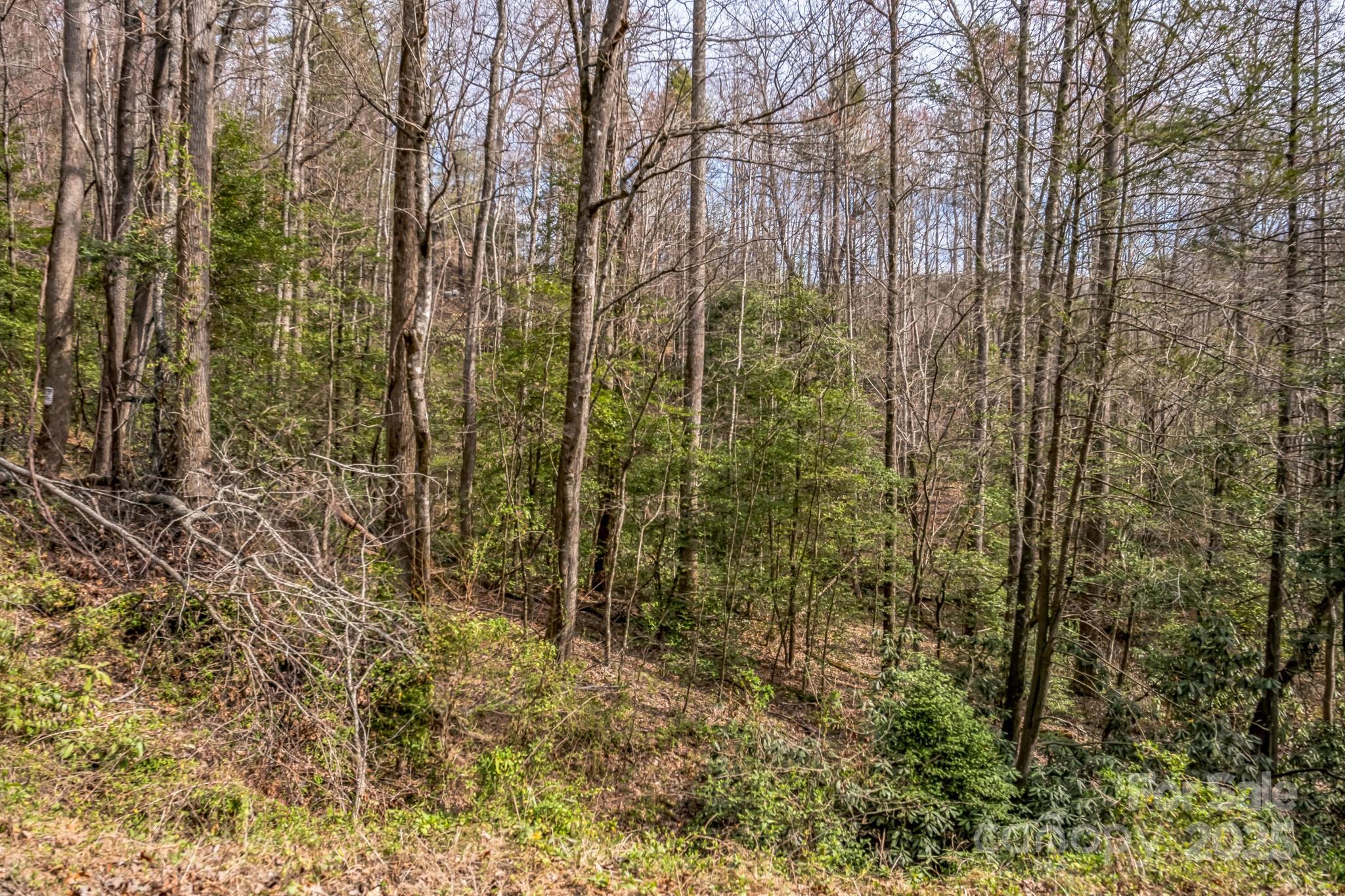 1 Globe Road Collettsville, NC 28611 - Photo 29 of 43 a view of a yard with lots of bushes
