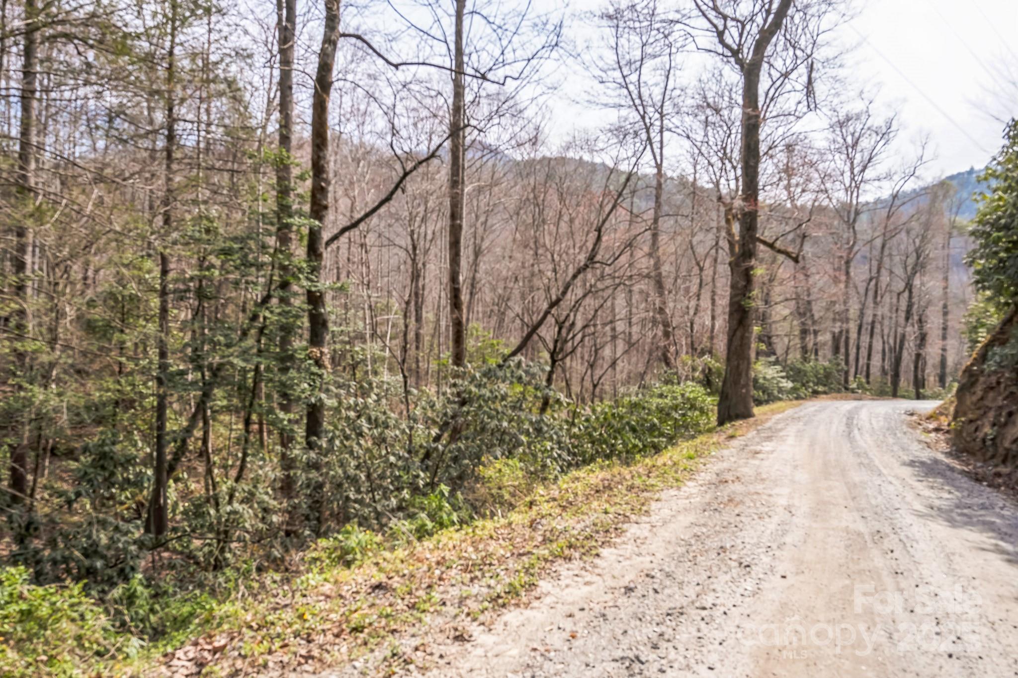 1 Globe Road Collettsville, NC 28611 - Photo 30 of 43 a backyard of a house with lots of green space